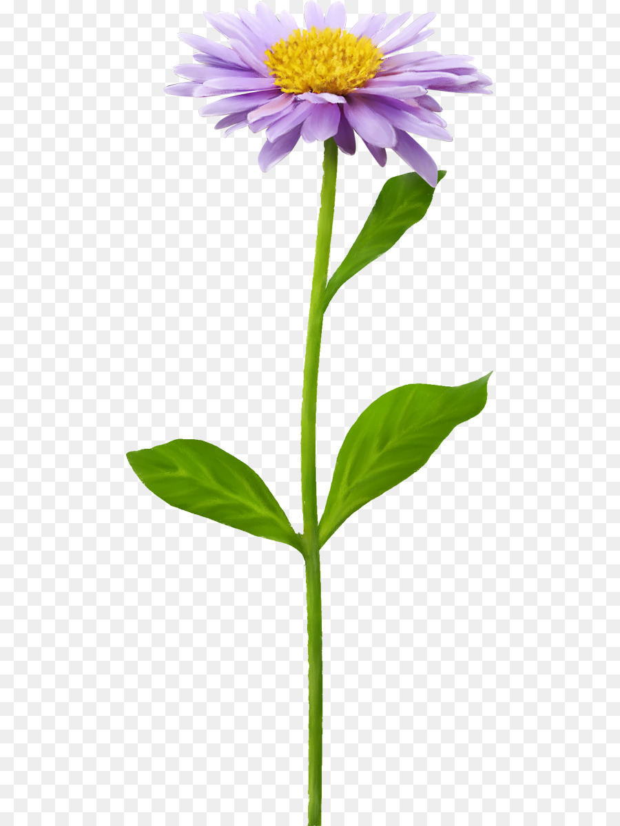 Flor，Flores Artificiales PNG