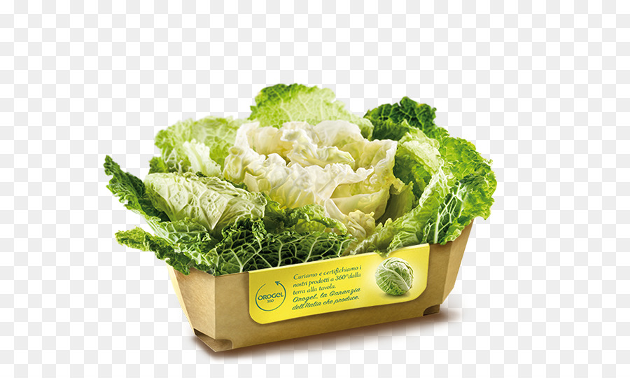 Lechuga Romana，Berza PNG