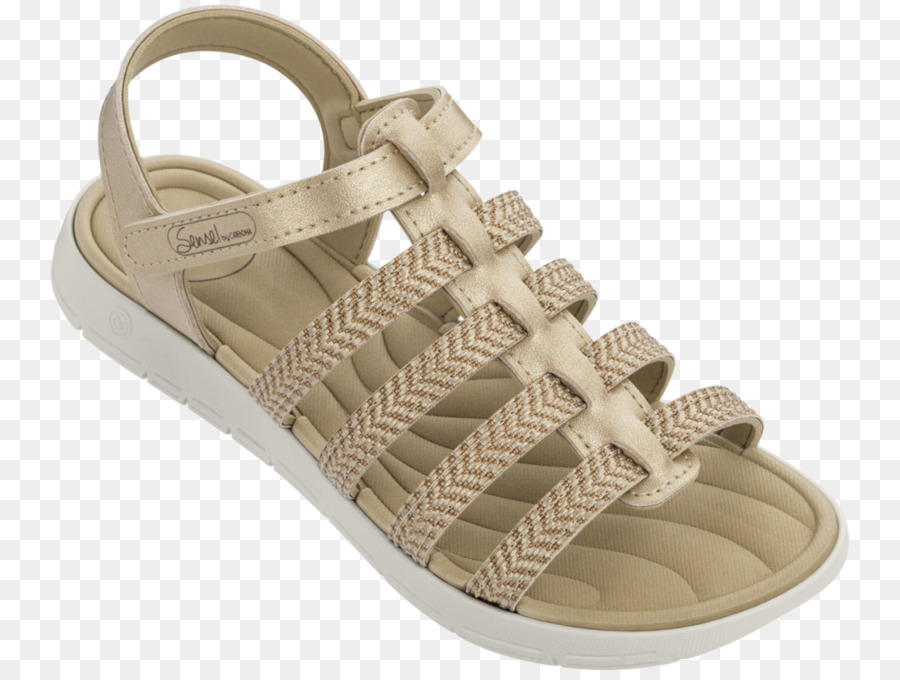 Sandalia，Flipflops PNG