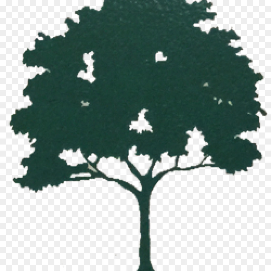 K C árbol Inc，árbol PNG