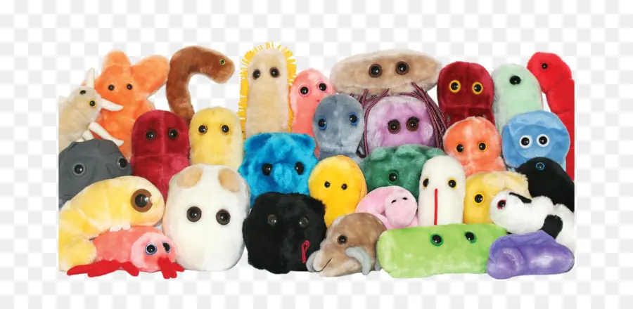 De La Felpa，Animales De Peluche Juguetes De Peluche PNG