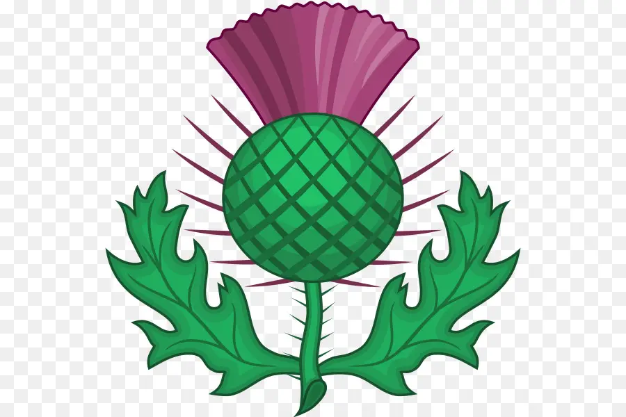 Escocia，Cardo PNG