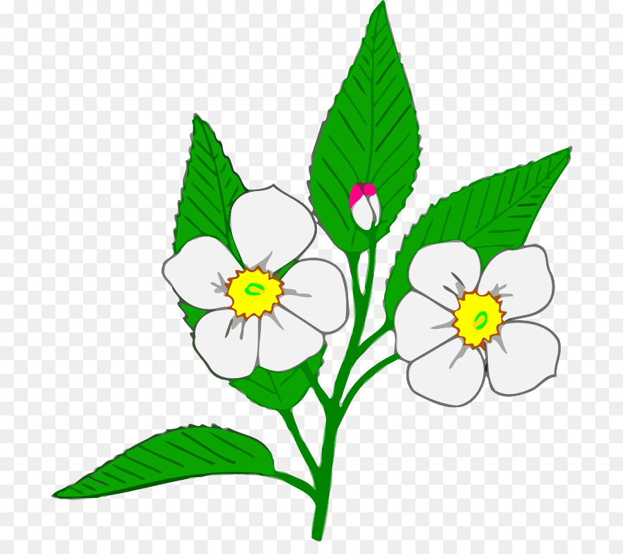 Diseño Floral，Florecer PNG