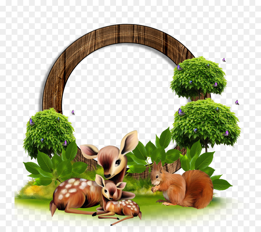 Ciervo Y Ardilla，Bosque PNG