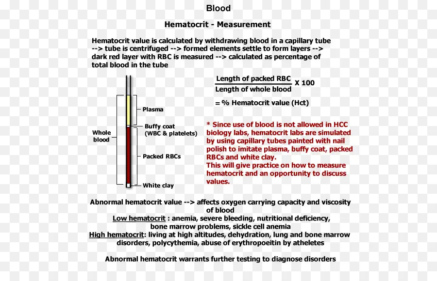 Hematocrito，La Sangre PNG