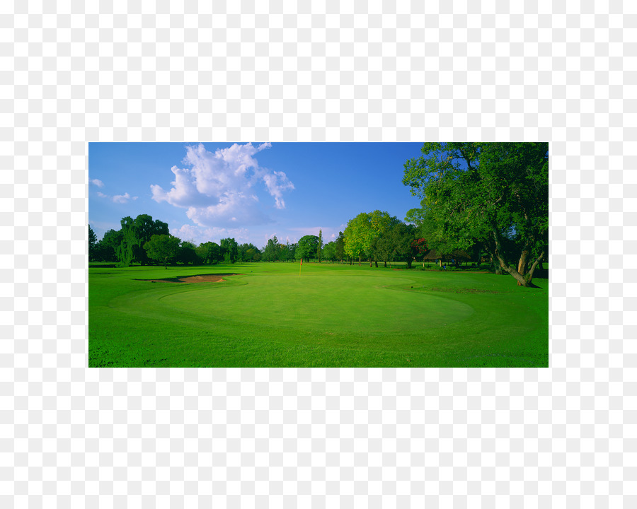 Golf，Campo De Golf PNG