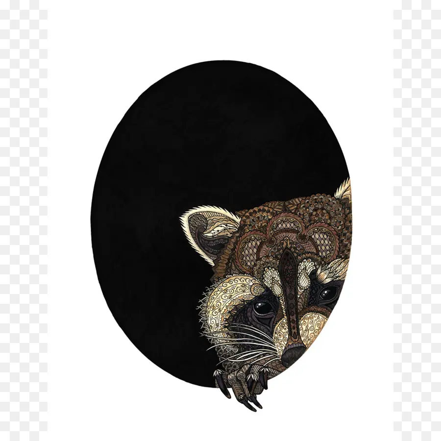 Mapache，Ardilla PNG