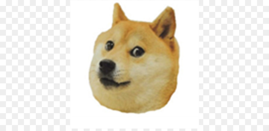 Shiba Inu，Dux PNG