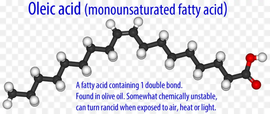 Las Grasas Insaturadas，El ácido Oleico PNG