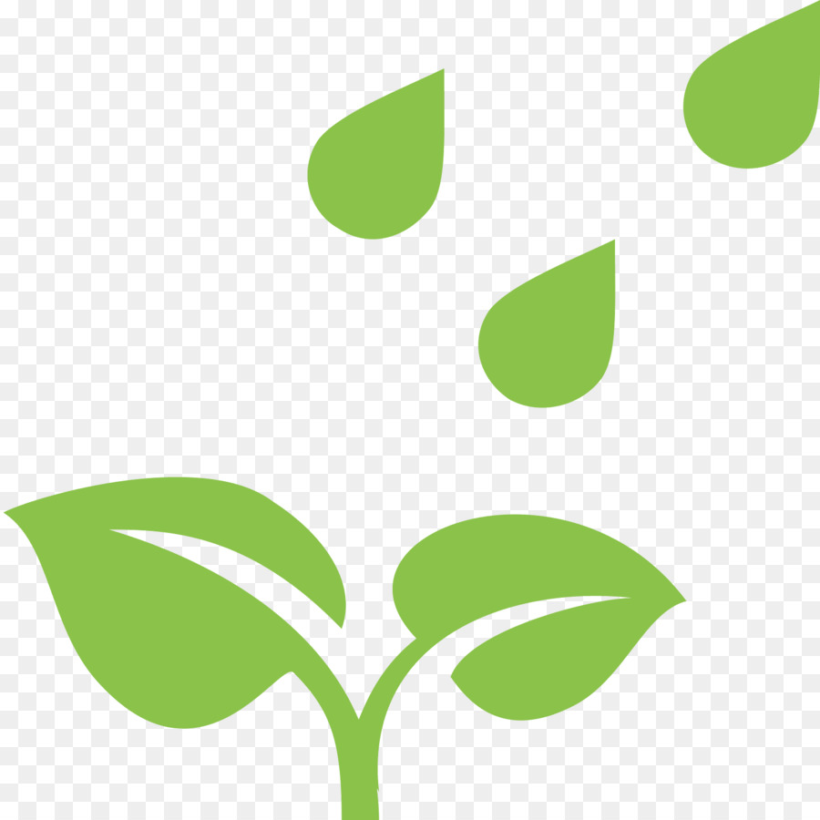 Hojas Verdes，Planta PNG