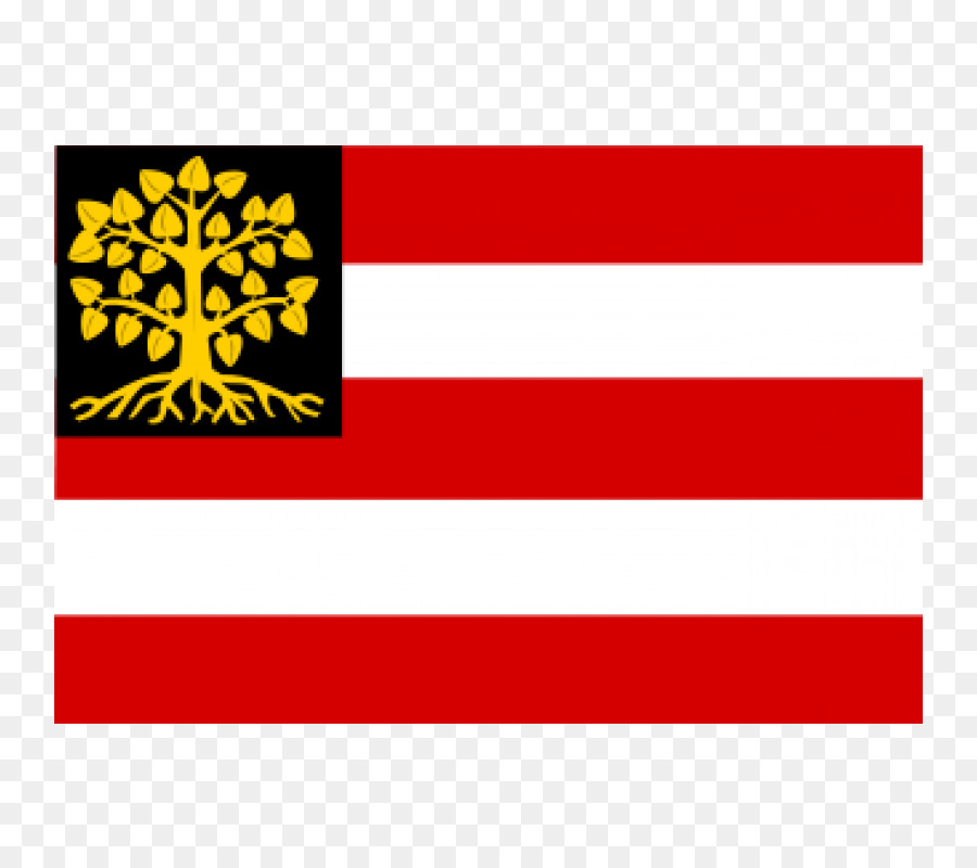 S Hertogenbosch，Bandera PNG