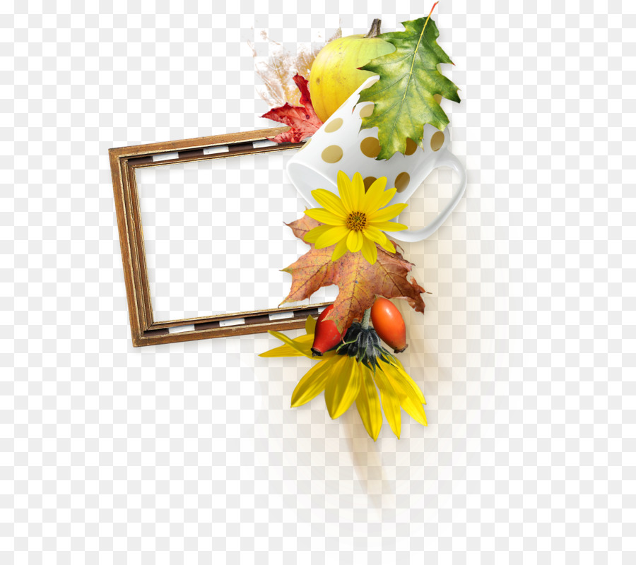 Diseño Floral，Flor PNG