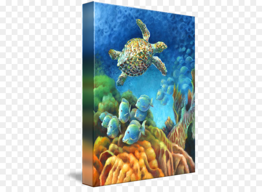 Tortuga Boba，Arrecife De Coral PNG