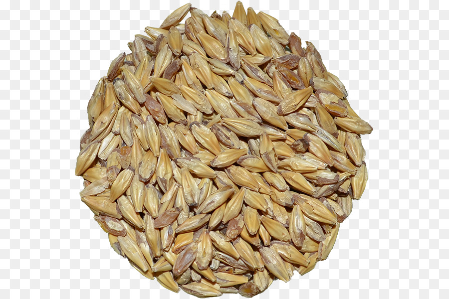 Semillas De Cebada，Grano PNG