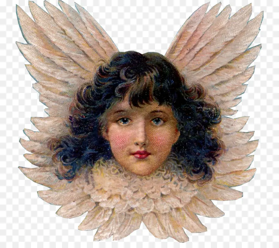 Querubín，ángel PNG