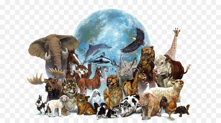 Día De Los Animales Del Mundo，Animal PNG