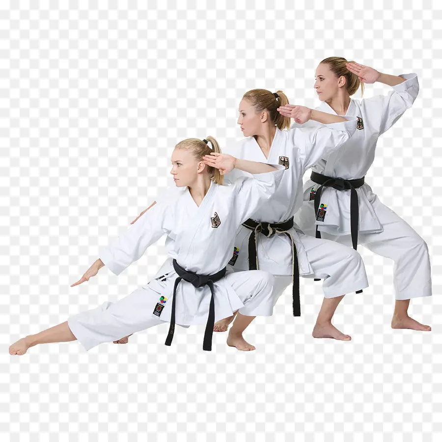 Practicantes De Karate，Artes Marciales PNG