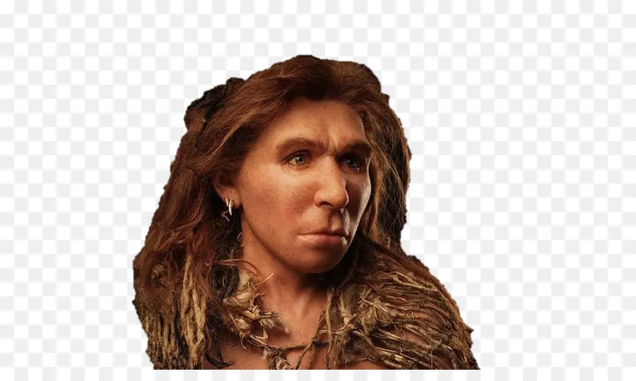 Neandertal，Homo Sapiens PNG