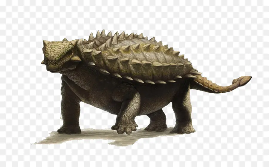 Ankylosaurus，Talarurus PNG