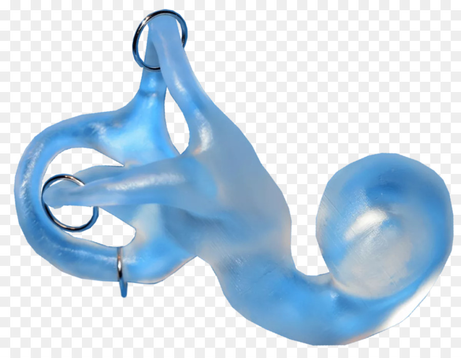 Molde De Oreja Azul，Audiencia PNG