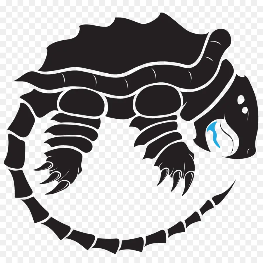 Tortuga，Cocodrilo PNG