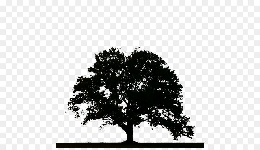 árbol，Tocón De árbol PNG