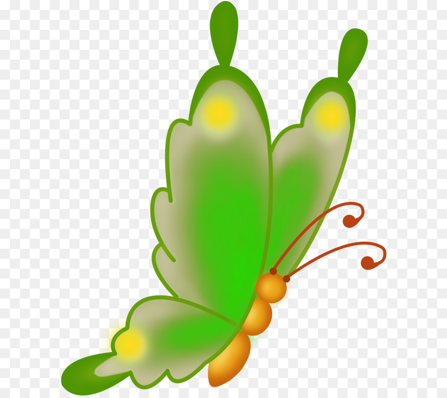 Insecto，Mariposas Y Polillas PNG