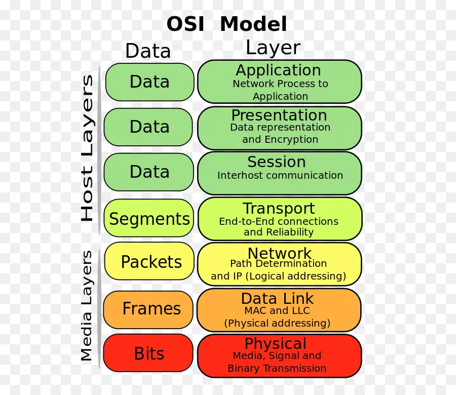 Modelo Osi，Equipo De La Red PNG