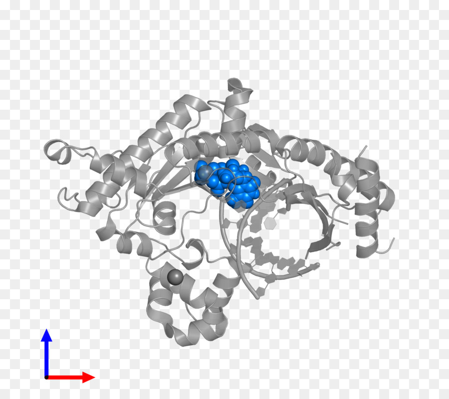 Joyería，Diagrama PNG