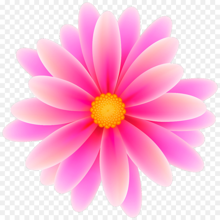 Flor，Rosa PNG