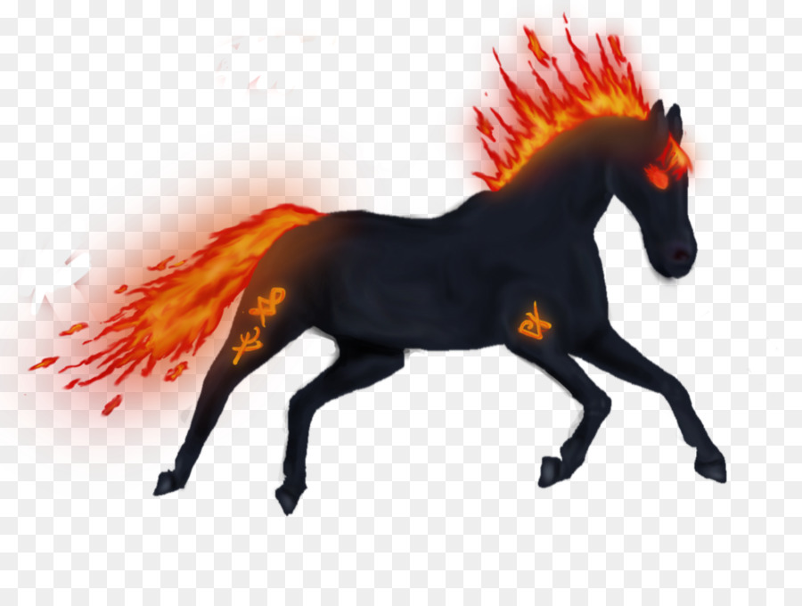 Mustang，Stallion PNG