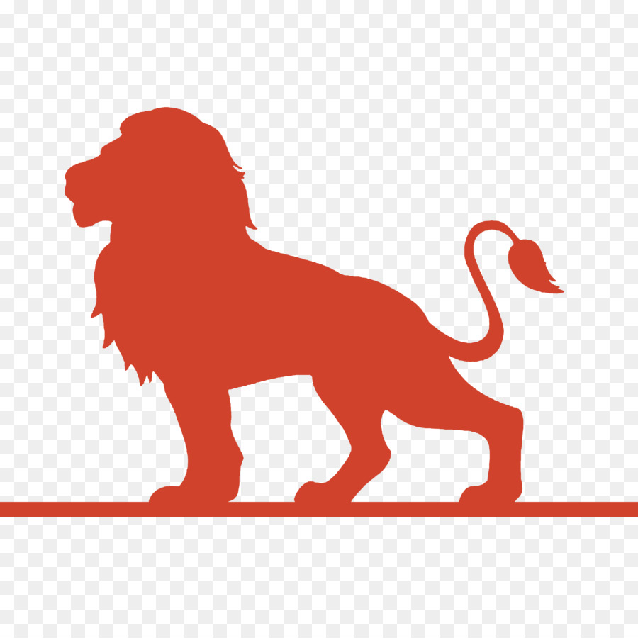 León，Cartel PNG