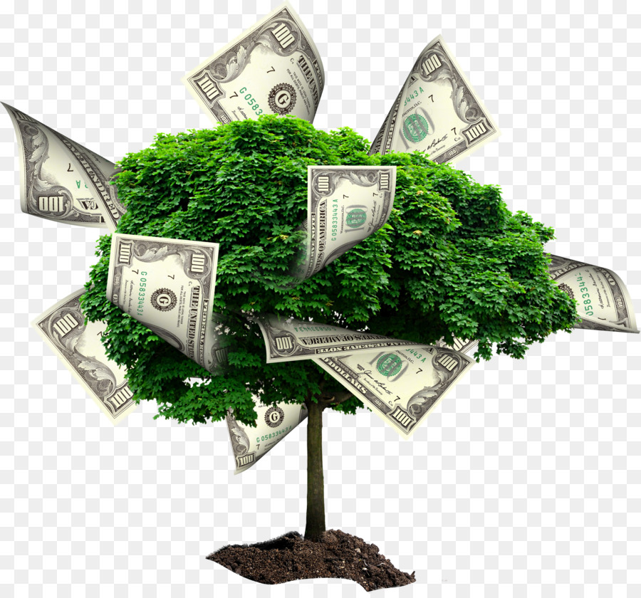 árbol Del Dinero，Dinero PNG