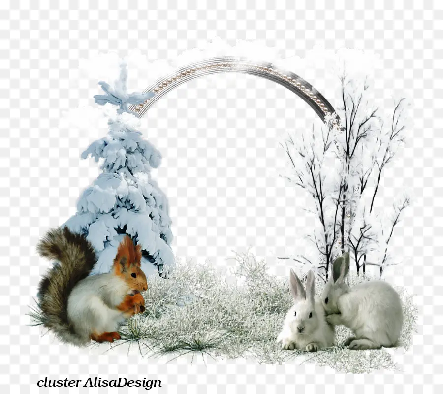 Animales De Invierno，Ardilla PNG