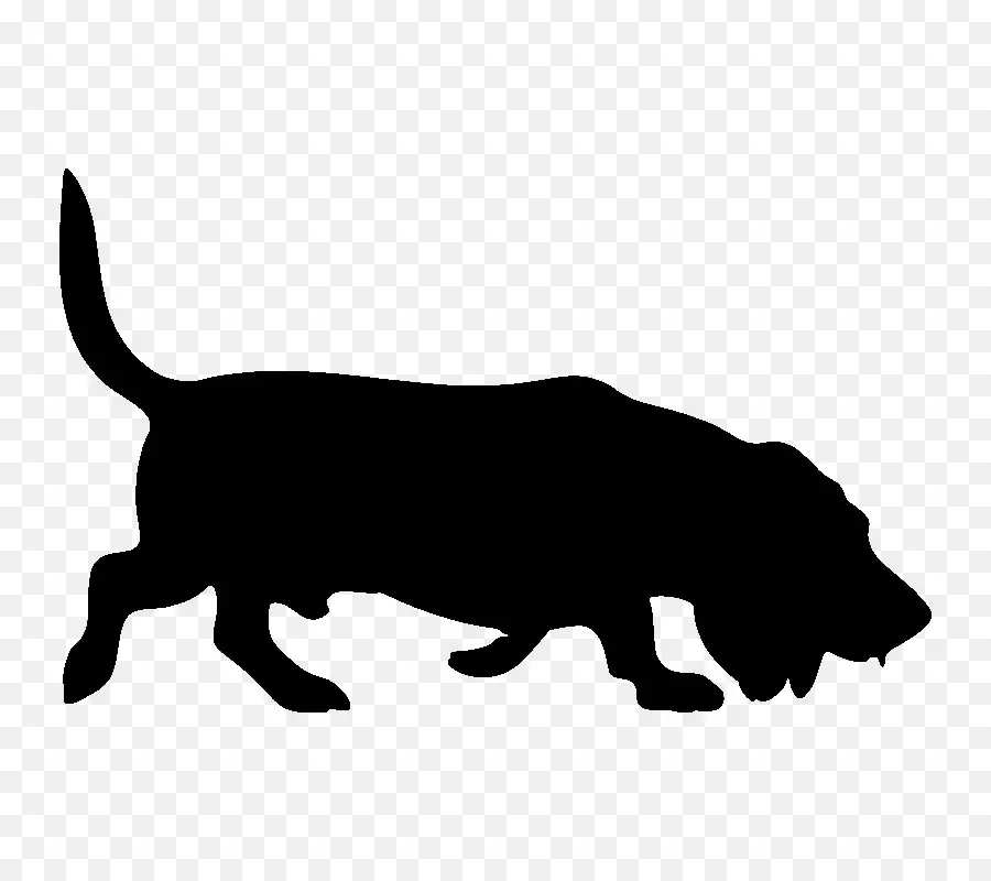 Gato Negro，Mascota PNG