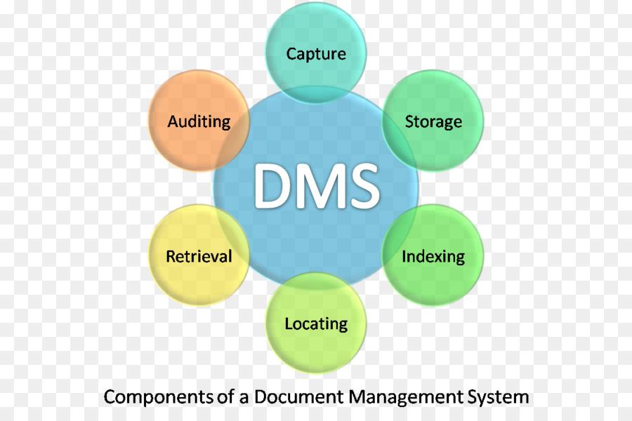 Diagrama Dms，Dms PNG