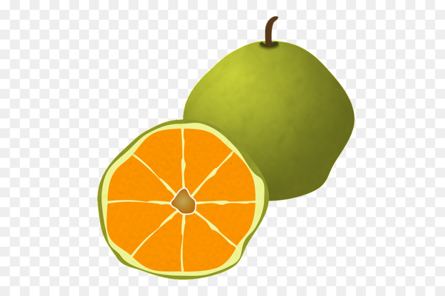 Ugli Fruta，Cóctel PNG