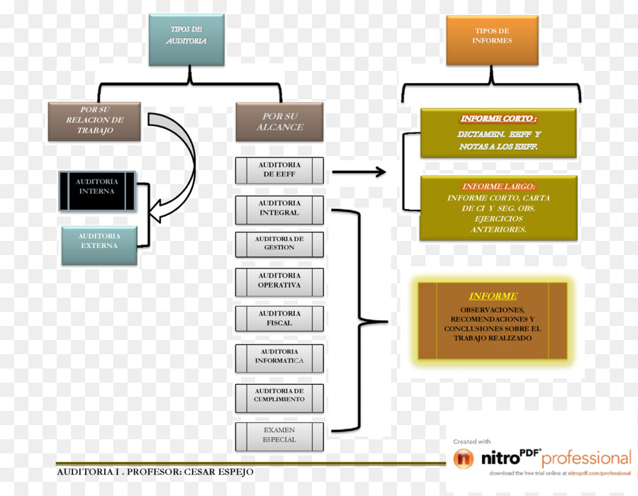 Auditoría，Informe PNG