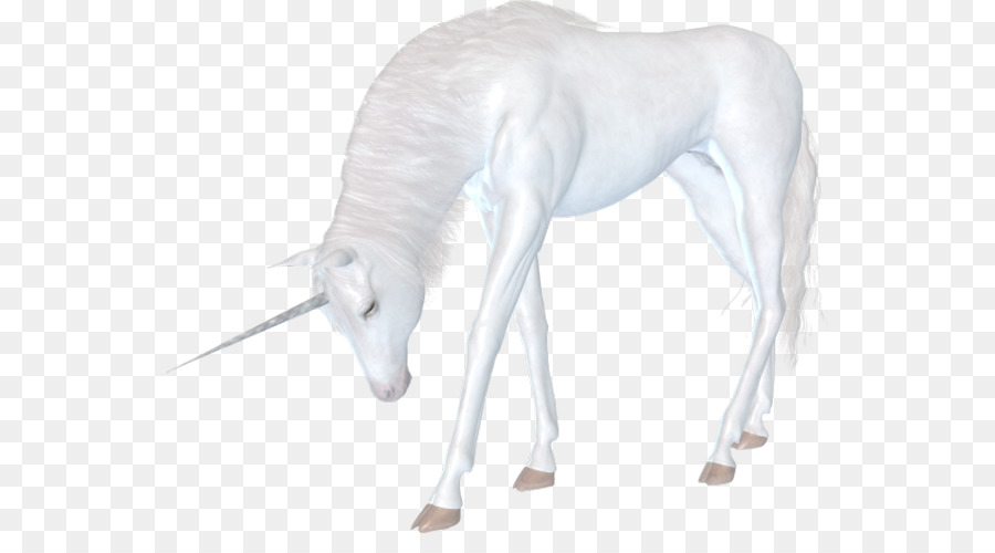 Bienvenidos A Mí，Unicornio PNG