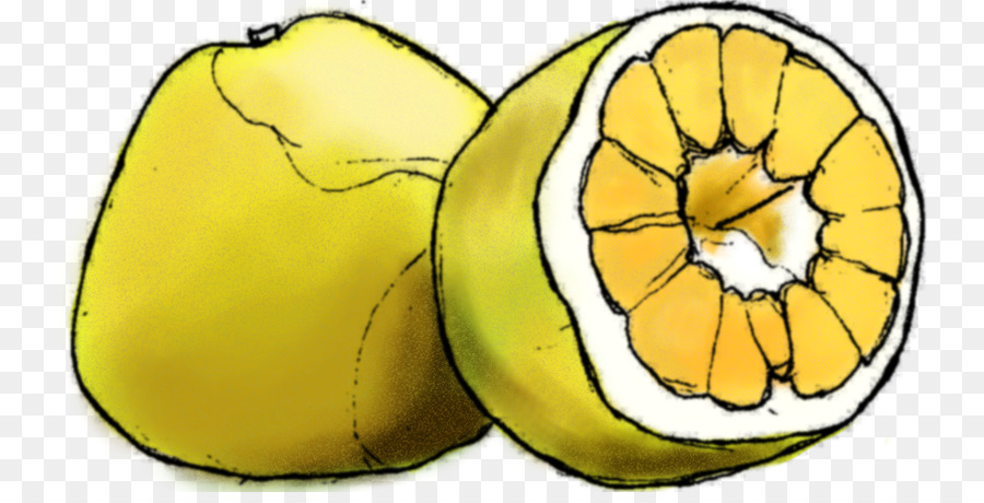 Limón，Ugli Fruta PNG