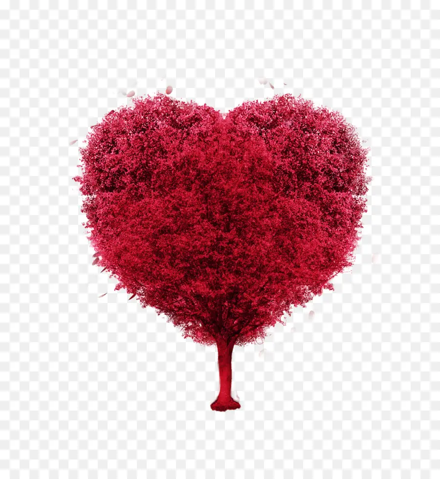Corazón，árbol Del Amor PNG
