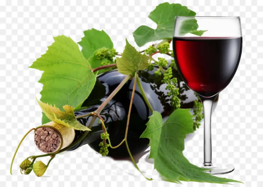 Vino，Vino Tinto PNG