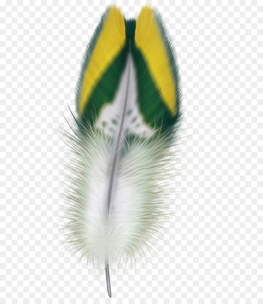 Pluma，Pájaro PNG