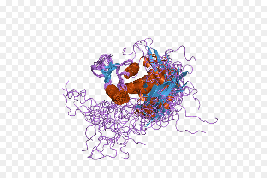 Estructura De La Proteína，Molécula PNG