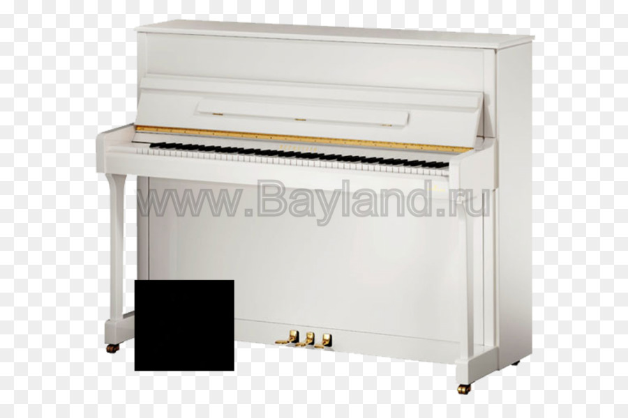 Piano Digital，Piano Eléctrico PNG