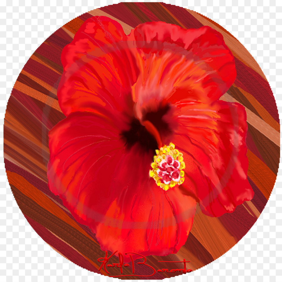 Hibiscus，La Cocina China PNG