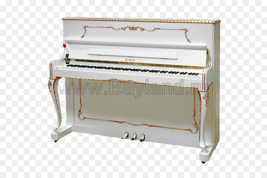 Piano Digital，Piano Eléctrico PNG