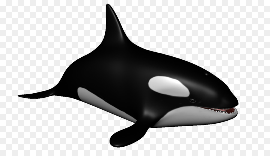 Orca，Ballena PNG