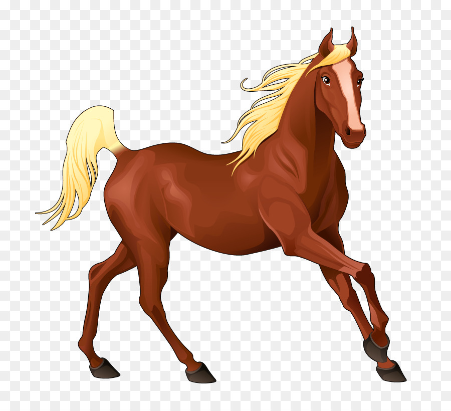 Caballo，Equino PNG