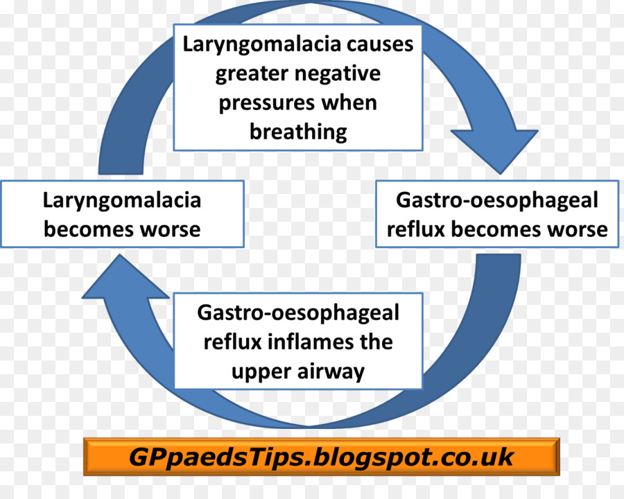 Laryngomalacia，Enfermedad Por Reflujo Gastroesofágico PNG